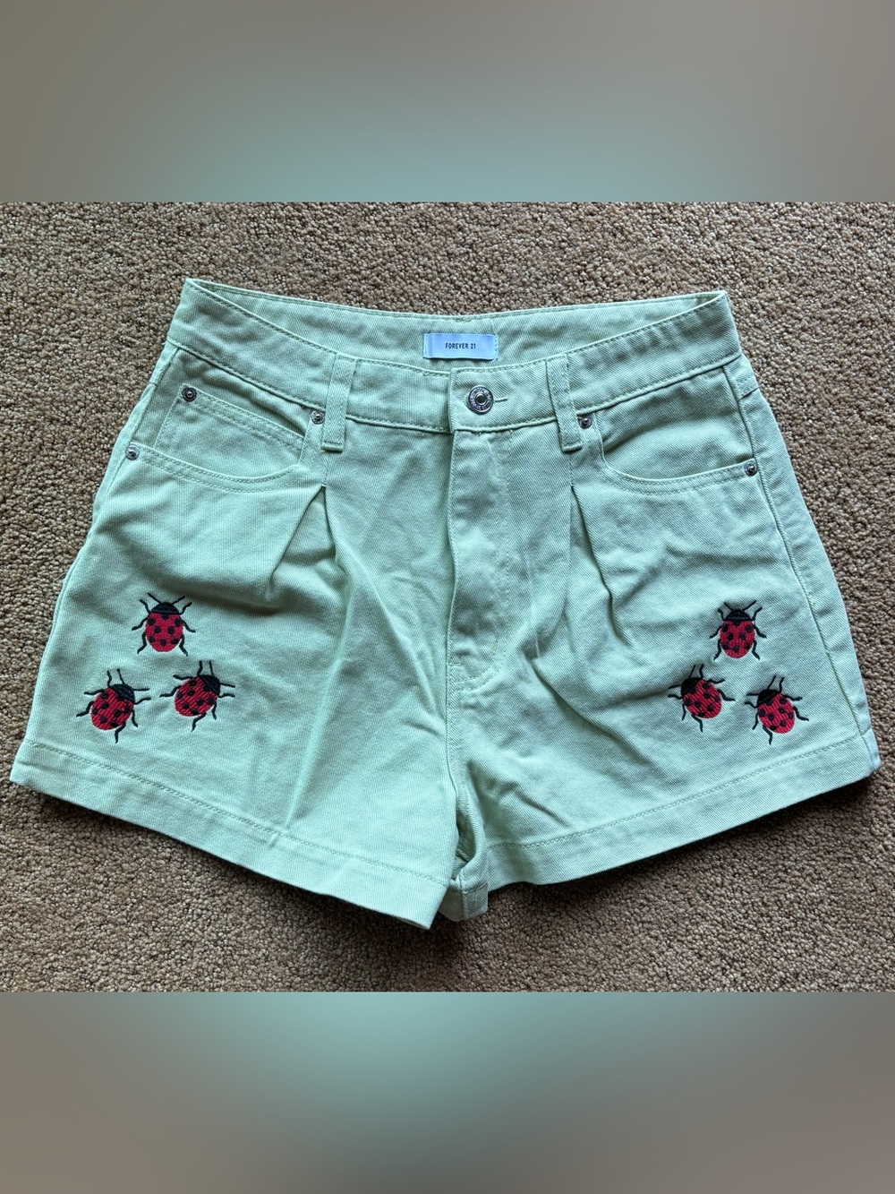 Light Green Embroidered Jean Shorts